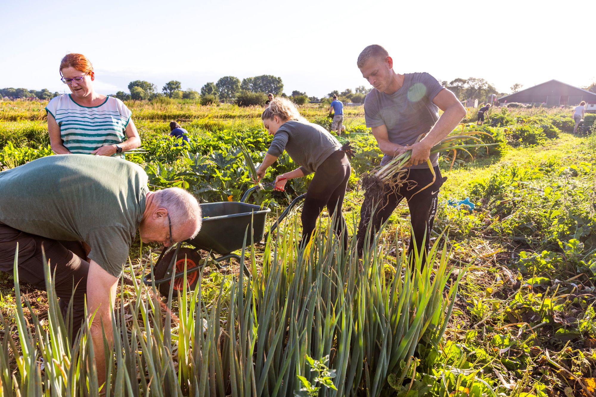 Verschillende mensen aan het werk op het land.