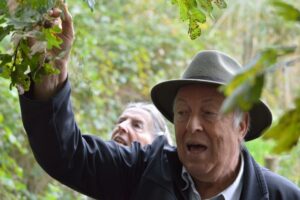 Oogstfeest Herenboeren Wilhelminapark 2025 (C) Frits Jacobs (4)